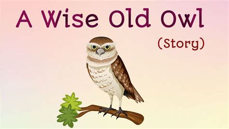  The Owl Who Married a Mouse – A Timeless Tale Exploring Love, Differences, and the Unexpected!